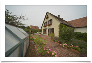 Location chambres d'hôtes avec piscine en Alsace