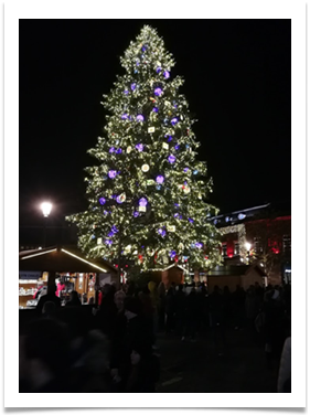 Location chambres d'hôtes avec piscine en Alsace
