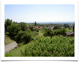 Location chambres d'hôtes avec piscine en Alsace
